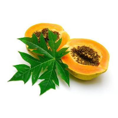 Carica Papaya Extract