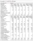 Cash Flow Budgeting Services