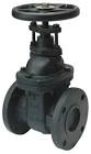Cast Iron Gate Valve
