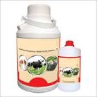 Cattle Digestive Tonic