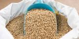 Cattle Feed Testing Services