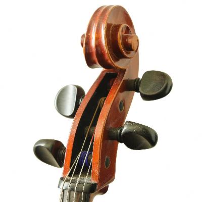 Cello Fingerboard