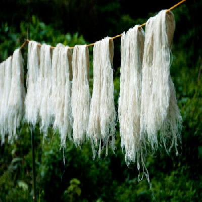 Cellulose Fibre