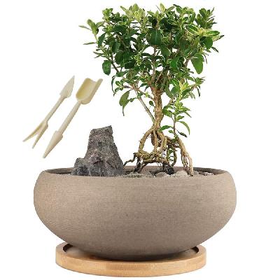 Ceramic Bonsai Pot