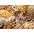 Cereals Testing
