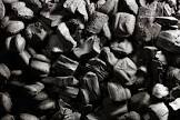 Charcoal