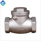 Check Valve Casting