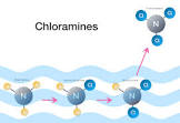 Chloramine