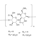 Chondroitin Sulphate