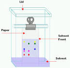 Chromatography Paper