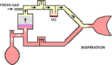 Circle Absorber