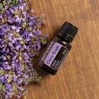 Clary Sage Oil