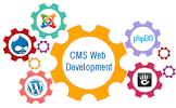 Cms Web Development