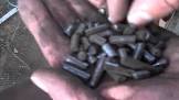 Coal Pellet