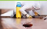 Cockroaches Pest Control Services