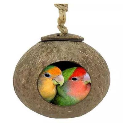 Coconut Shell Bird House 