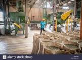 Coffee Processing Plant