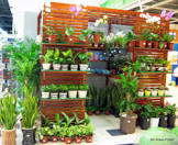 Cold Storage Plants