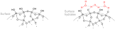 Colloidal Silica
