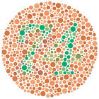 Color Vision Testing Service