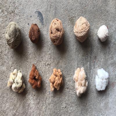 Coloured Cotton