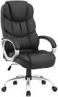 Computer Chair