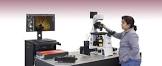 Confocal Microscope