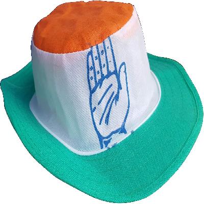 Congress Cap