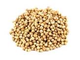 Coriander Seed