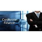 Corporate Finance Consultant Service