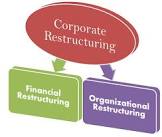 Corporate Restructuring Consultant