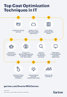 Cost Optimization Services