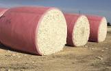 Cotton Bale