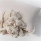 Cotton Pillows