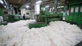 Cotton Textile