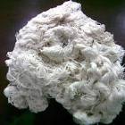 Cotton Yarn Waste