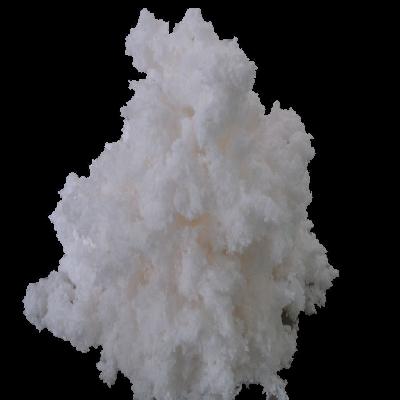 Cotton Pulp 