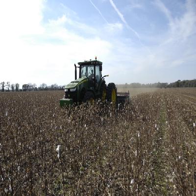 Cotton Stalk Chopper