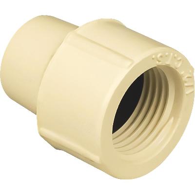 CPVC Adapter
