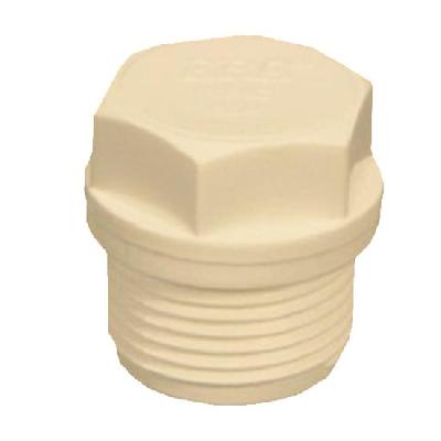 CPVC End Plug