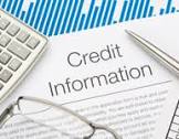 Credit Verification Services