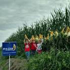 Crop Protection Service