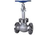 Cryogenic Globe Valve