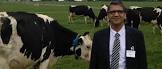 Dairy Farming Consultancy