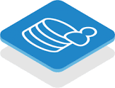 Database Consulting Services
