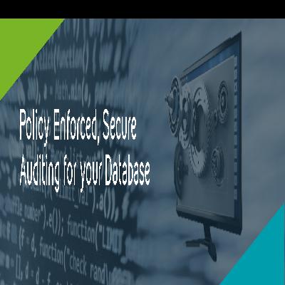 Database Security Auditing Service