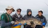 Deep Sea Fishing Services