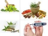 Diabetes Ayurvedic Treatment