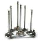 Diesel Engine Valve