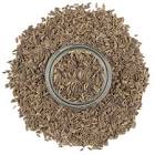 Dill Seeds